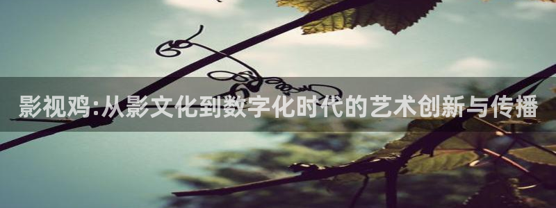 好看影院在線觀看：影視雞:從影文化到數(shù)字化時代的藝術(shù)創(chuàng)新與傳播